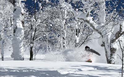 Moiwa Lodge - Niseko powder